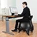 LuxFit Exercise Ball Chair, Black