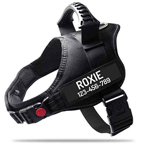 custom name dog harness