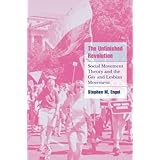 The Unfinished Revolution: Social Movement Theory and the Gay and Lesbian Movement (Cambridge Cultural Social Studies)
