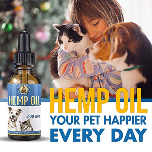 Hemp Oil for Dogs and Cats The Perfect Hemp for Dogs with Anxiety and