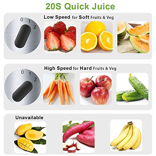 3 Hilax+Extractor+Spin+power+Stainless+Vegetable
