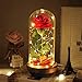 Enchanted Rose, Beauty and The Beast Red Rose with Fallen Petals in A Light Dome USB Powered, Home Decoration Valentine's Day Gift, Romantic Rose Gift for Women Girl