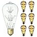 KINGSO Vintage Edison LED Bulb Bright Starry Style Romantic Fireworks Squirrel Cage Light Bulbs, 3W, 2700K, 85~265V, Warm Color, E26/E27 Medium Screw Base, ST64 Antique Shape (6 Pack)