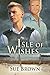 Isle of Wishes (The Isle Series Book 2)