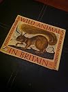 Wild Animals in Britain