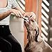 Dog Toothbrush and Toothpaste Brushing Kit, 7oz (Pack of 2) Enzymatic Tooth Paste, Beef Flavor | Teeth Cleaning & Fresh Breath Dental Care Best for Bad Breath by Removing Plaque and Tartar Buildup