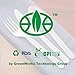 GreenWorks 200 Count Heavy-duty Compostable Forks, BPI Certified Large Disposable Cutlery Flatware Utensils Fork
