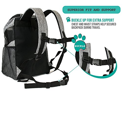 PetAmi Premium Pet Carrier Backpack Deals, Coupons & Reviews
