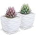 MyGift White Ceramic Wave Textured Design Flower Plant Pot/Succulent Planter with Attached Tray, Set of 2