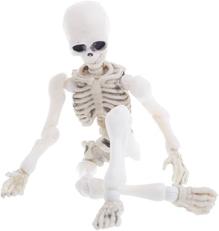 mini skeleton toy