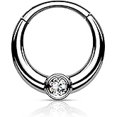 Pierced Owl 16GA 316L Stainless Steel CZ Crystal Center Rounded Thick Hinged Segment Clicker Ring