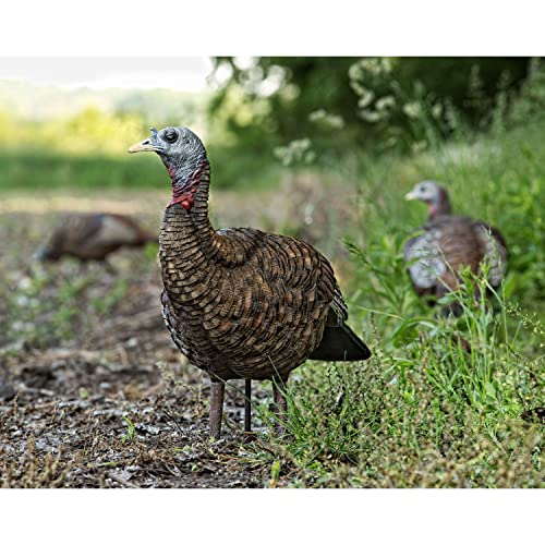 AVIANX LCD Lookout Hen Turkey Decoy Durable Realistic Lifelike