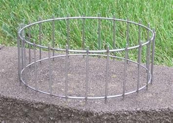 Songbird Essentials Seawfff740 All Weather Feeder Squirrel Cage