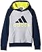 adidas Boys' Big Boys' Fleece Blocked Hoodie, Medium Grey Heather, Medium/10-12
