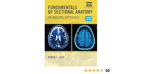 Fundamentals Of Sectional Anatomy An Imaging Approach Lazo Denise Amazon Sg Books