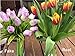Mandy's Artificial Tulips 20 Stems Red PU Faux Flowers for Wedding Home Decor 13.5 Inch