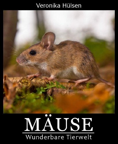Mäuse (Wunderbare Tierwelt 9) (German Edition)