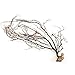 UEETEK Natural Black Sea Coral Ornaments Fish Tank Aquarium Sea Fans Dried Coral Decorations