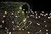 Fairy Lights Battery Operated - Non Blinking- 9ft 8in - Set of 1, Warm White