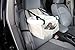 Ideas In Life Portable Car Pet Booster Seat with Clip-On Safety Leash and Zipper Storage Pocket Pets Upto 10 Lbs