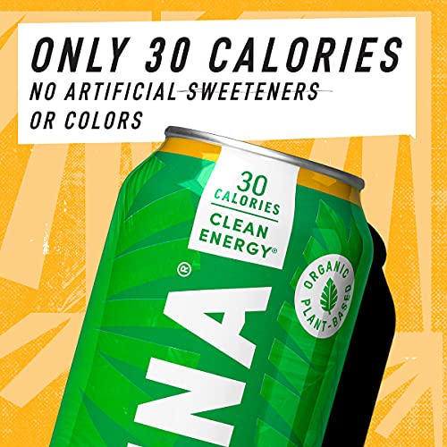 Organic Clean Energy Drink by RUNA BOLD Tropical Passionfruit