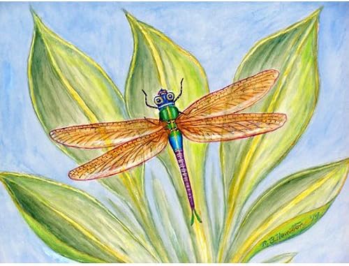 DM299G Dicks Dragonfly Doormat 30 x 50