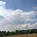 DGCUS Bird Netting Fruit Tree Protective Net Pests Block Poultry Aviary Pen 50'X50'