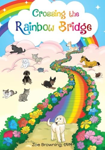 The Rainbow Bridge: Bodofsky, Steve: 9780960049301: Amazon.com: Books