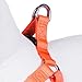 Blueberry Pet 7 Colors Step-in Classic Dog Harness, Chest Girth 19.5