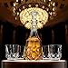 Ashcroft Imperial Whiskey Decanter Set - Lead Free Crystal Glasses for Scotch, Rum, Old Fashioned 5 Piece