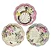 Kids Birthday Party Supplies & Decorations Paper Plates Alice in Wonderland 24 Pack 6.75 inch