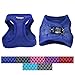 Downtown Pet Supply Step in Dog Harness for Small Dogs No Pull, Medium, Blue - Adjustable Harness with Padded Mesh Fabric and Reflective Trim - Buckle Strap Harness for Dogs