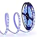 Oak Leaf 16.4ft RGB LED Strip Lights,Waterproof SMD5050 12V Flexible Strip Lights,Color Changing DIY Holiday Home Kitchen Car Bar Indoor Party Decoration,Multi-colors