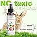 The Crown Choice Air Freshener Spray (2 Pack) – Citrus Non-Toxic Air Freshener for Home – Natural Essential Oil Spray and Odor Eliminator – Citrusy Refreshing Deodorizer for Home, Toilet, Room and Lounge (4oz)