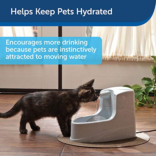 PetSafe Drinkwell Mini Pet Fountain for Cats and Small Dogs, 40 oz