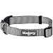 Blueberry Pet 22 Colors Classic Dog Collar, Flint Gray, Medium, Neck 14.5"-20", Collars for Dogs primary