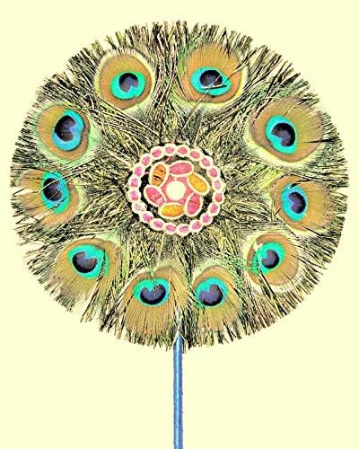 Maharaja arts Natural Beautiful Peacock Feather Hand Fan