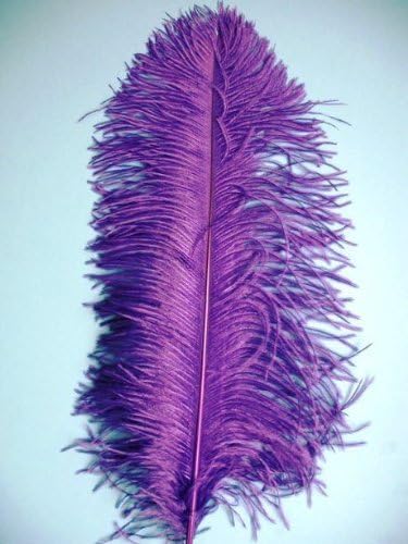 1 Pc Ostrich Feather Plume 18"-23" (Top Quality) - PURPLE