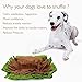 AISITIN Dog Snuffle Mat Feeding Mat,Dog Smell Training Mat Stress Release Nosework Blanket, Durable and Machine Washable Dogs Puzzle Toys, Encourages Natural Foraging Skills