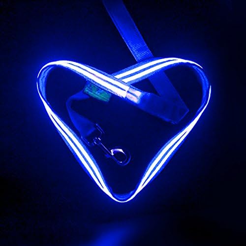 Shine for Dogs Light up LED Glowing Dog Leash, USB Rechargeable (Cable Included) Make You & Your Dog Visible - 5 Colours (Blue, Red, Green, Lime and Pink) - See Matching Rechargeable Collars