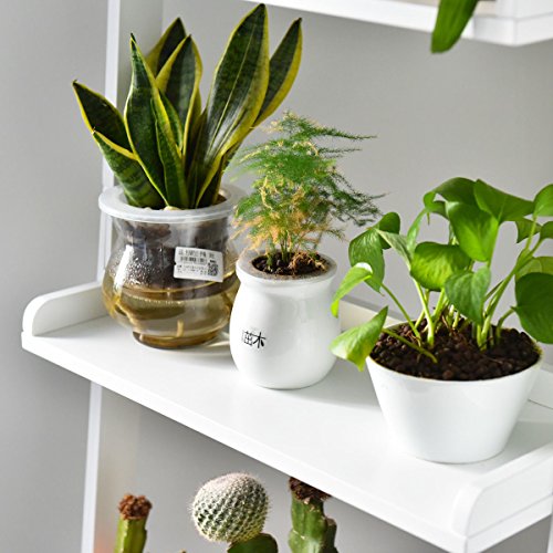 image for Alitop White 5-Tier Bookshelf Leaning Ladder Wall Shelf Bookcase Stora