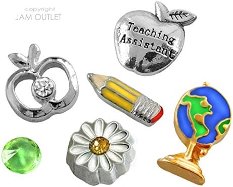 6 Pc Teacher Teaching Assistant Floating Charm Set - fits ALL Living Memory Lockets