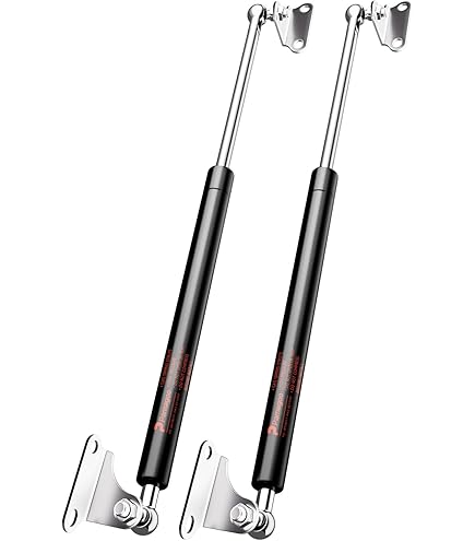 Amazon.com: Mazda BBP3-56-930A Deck Lid Lift Support : Automotive