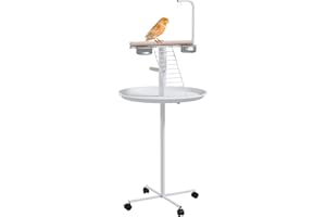 PawHut Bird Stand, Parrot Stand with Wheels, Perches, Stainless Steel Feed Bowls, Round Tray, Bird Play Stand for Indoor Outdoor, White