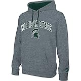 Michigan State Spartans Hooded Sweatshirt Arch Gray