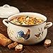 Paula Deen Enamel on Steel Stock Pot/Stockpot with Lid, 8 Quart, Garden Rooster