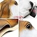 CreepyParty Deluxe Novelty Halloween Latex Animal Dog Head Mask (Basset Hound)
