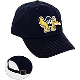 Desert Cactus University of California Irvine Baseball Hat Anteaters UCI Eaters Brimmed Embroidered Cap Adjustable Cloth Strap Adult (Style B) Blue
