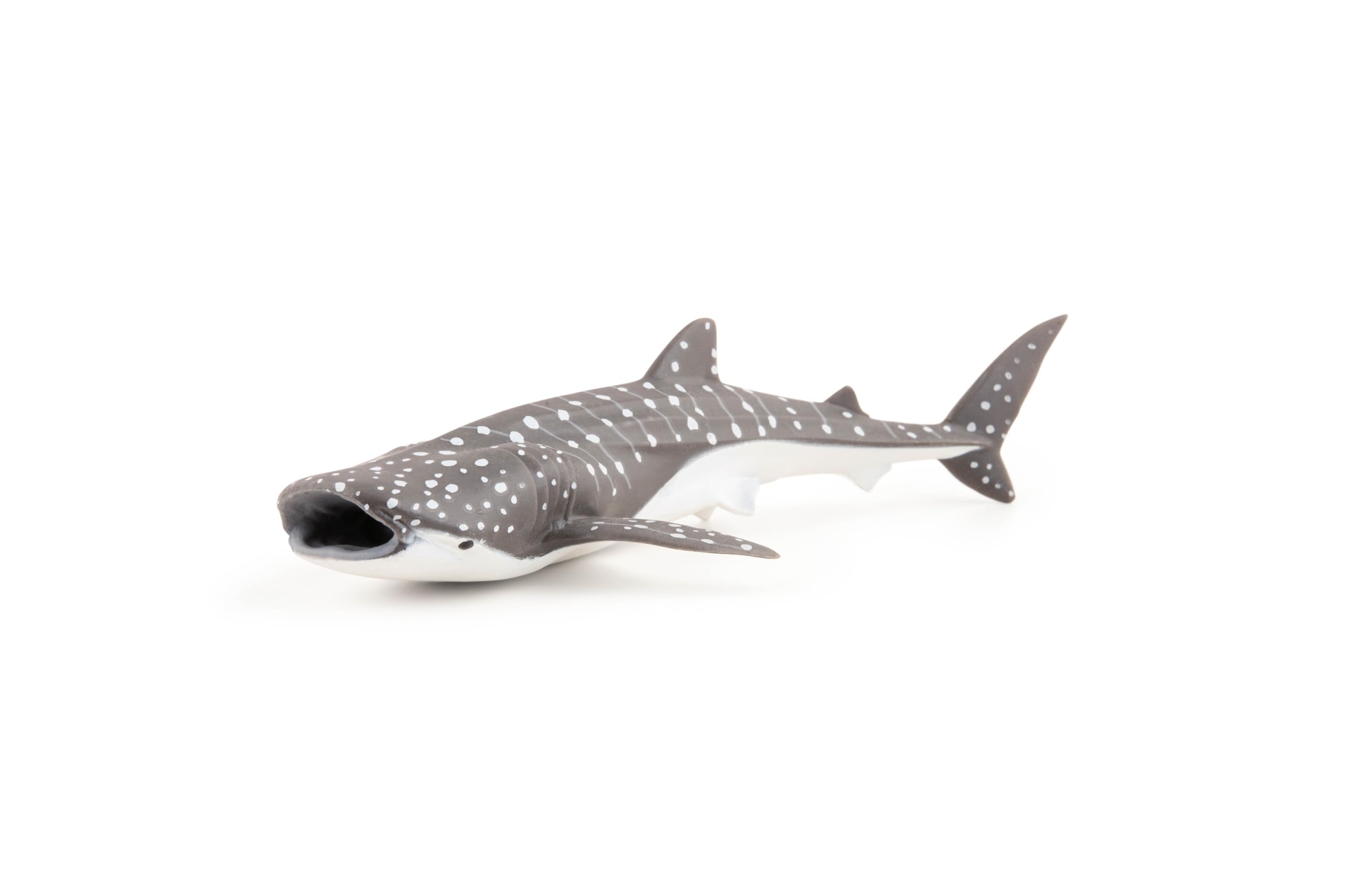 Papo - Figurine animal - Young Whale Shark, Ocean Discovery, Toy for Children from 3 Years Old - Marine Wonders Awareness and Species Protection