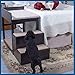 Penn Plax Buddy Bunk – Multi-Level Bed and Step System for Dogs and Catsthumb 3